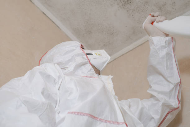 Crawl Space Mold Removal in Cape May, NJ